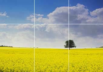 Contoh Rule of Thirds