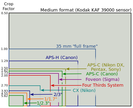 Diagram Perbandingan Ukuran Sensor Diagram Perbandingan Ukuran Sensor
