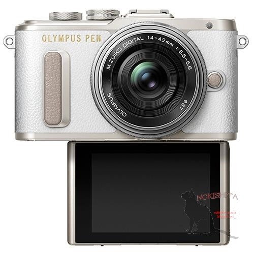 Kamera Terbaru Olympus E-PL8 (Selfie)