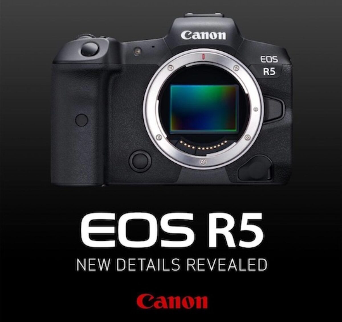 canon r5 full frame