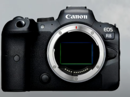 Kamera Mirrorless Canon R8